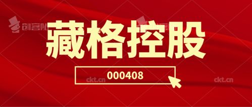 藏格控股二審維持原判 投資者索賠持續推進，日用品貿易銷售業務前景引關注